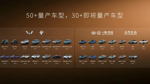 2026年度迟来的诺贝尔奖，谦逊大师的荣耀时刻